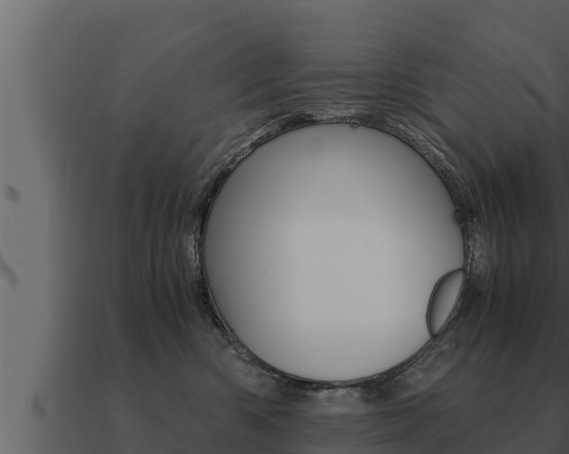 X0000091100426200708061027