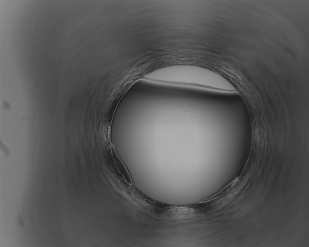 X0000091100429200708061027