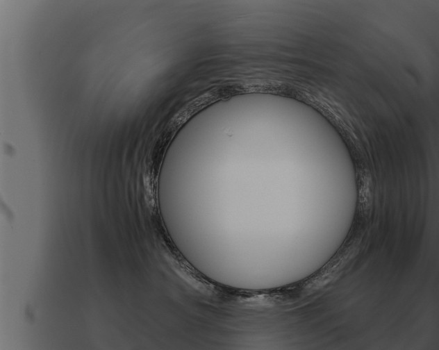 X0000091100430200708061026