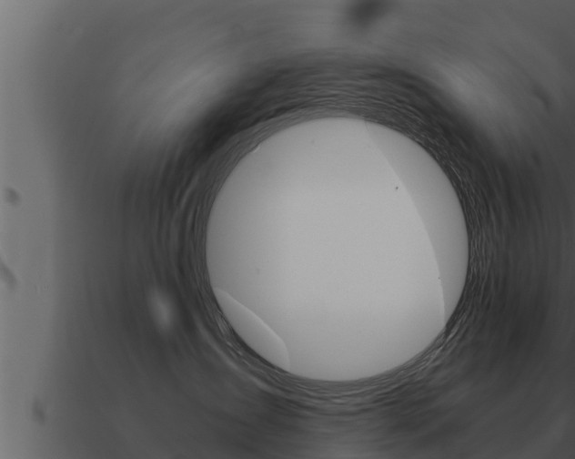 X0000091100431200708061026