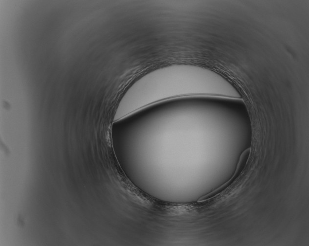X0000091100432200708061026
