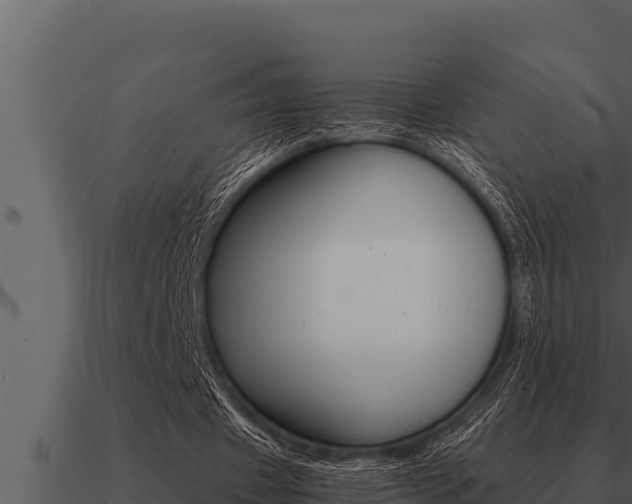 X0000091100433200708061026