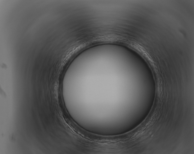 X0000091100434200708061026