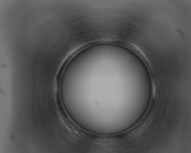 X0000091100435200708061026