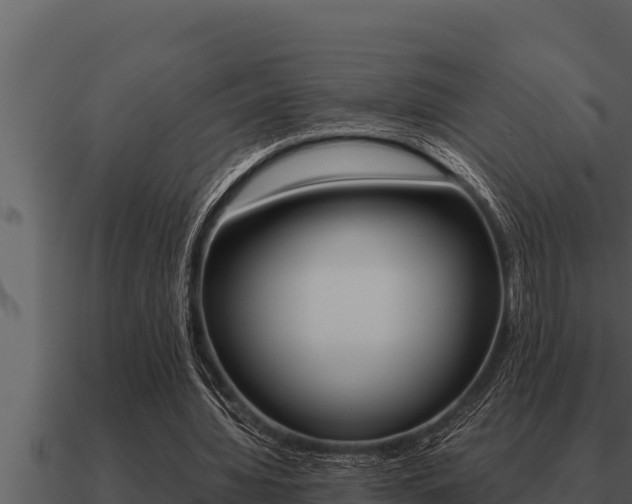 X0000091100436200708061026