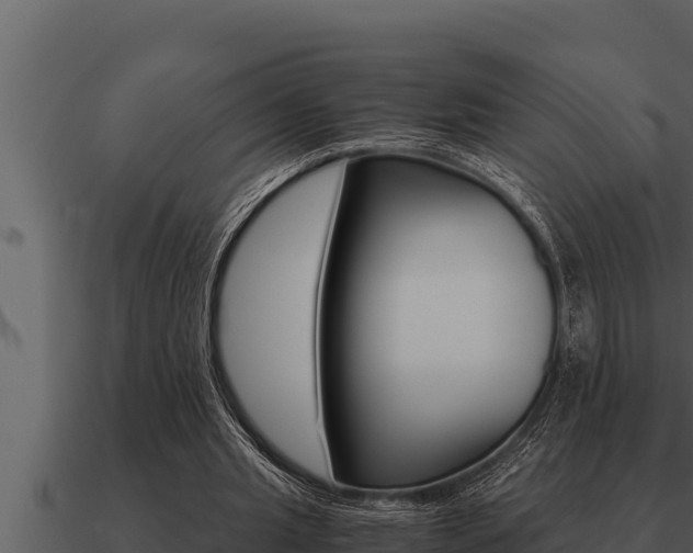 X0000091100437200708061026