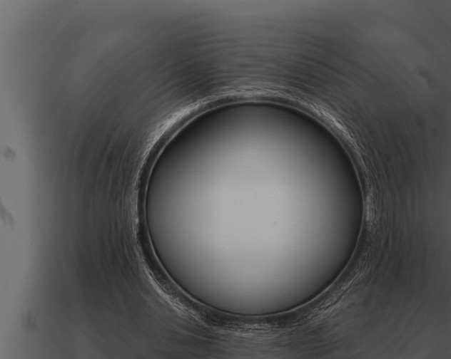 X0000091100438200708061026