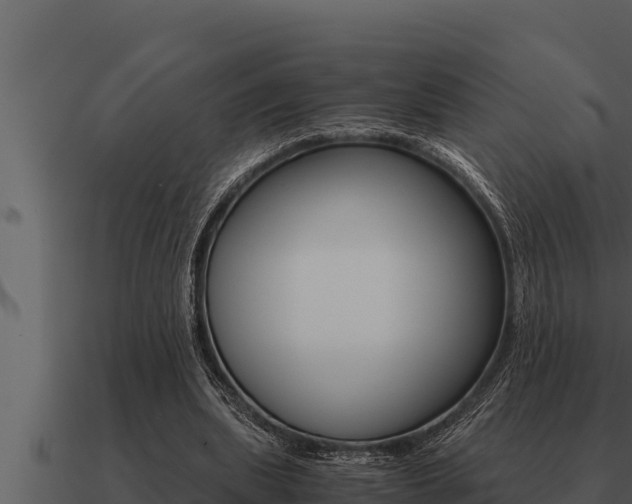 X0000091100439200708061026