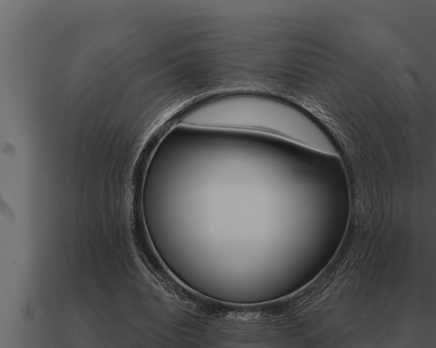 X0000091100440200708061026