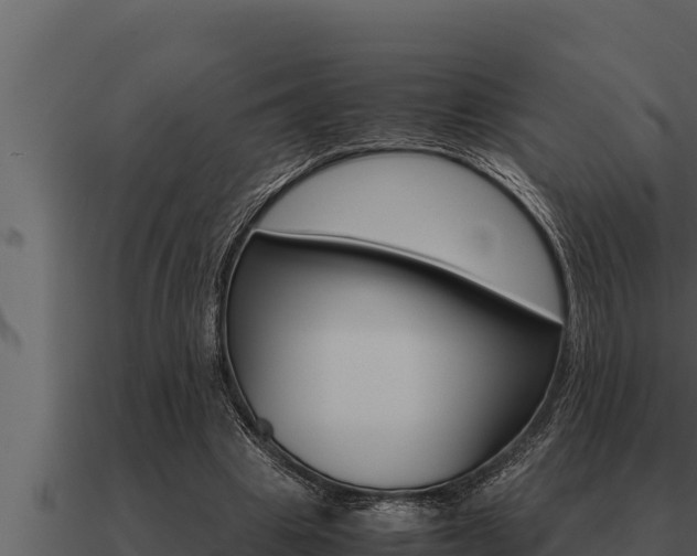 X0000091100441200708061026