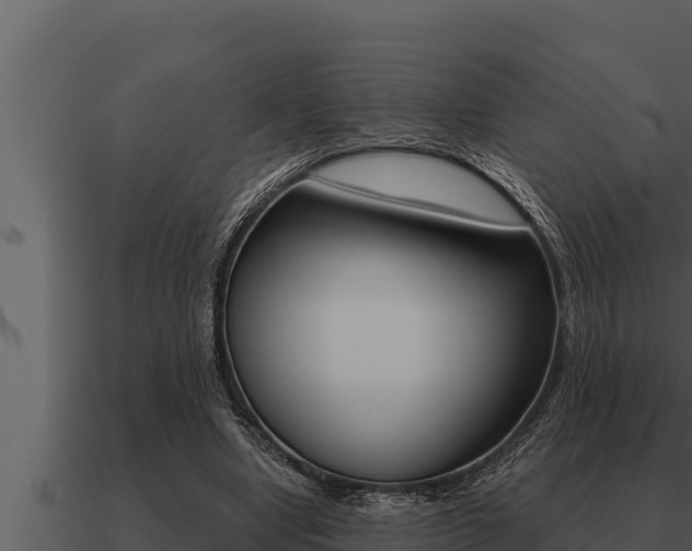 X0000091100442200708061026
