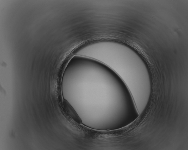 X0000091100444200708061026