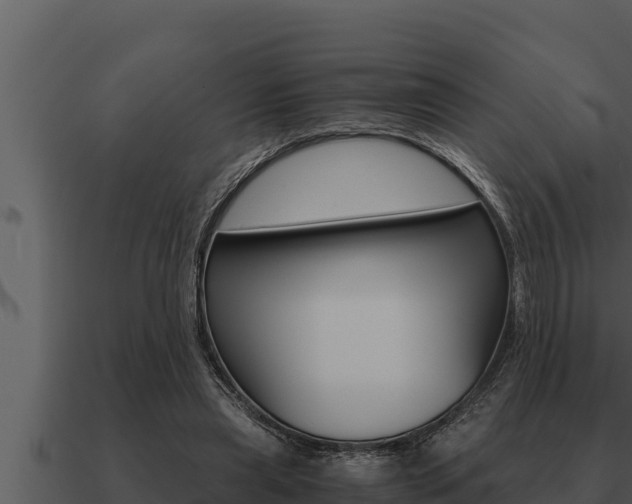 X0000091100445200708061026