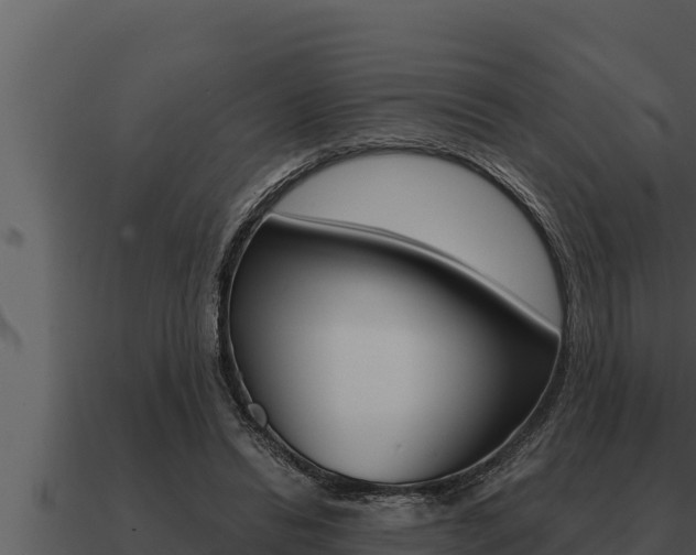 X0000091100446200708061026