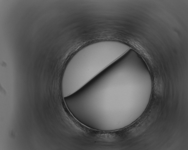 X0000091100449200708061026
