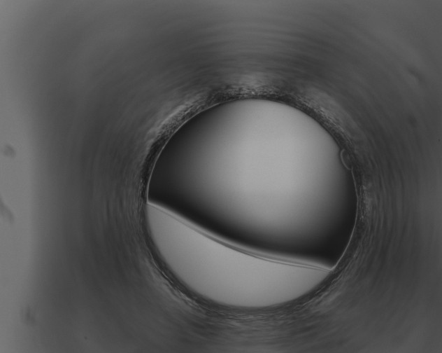 X0000091100450200708061026