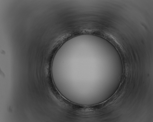 X0000091100451200708061026