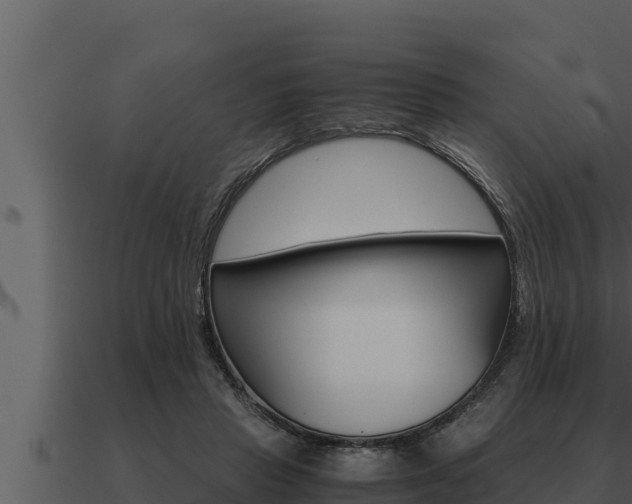 X0000091100453200708061026