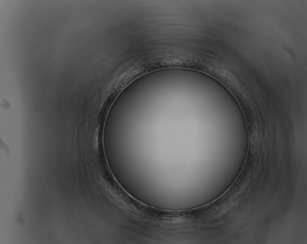 X0000091100454200708061026