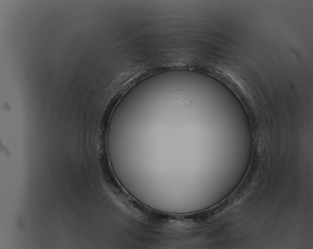 X0000091100455200708061026