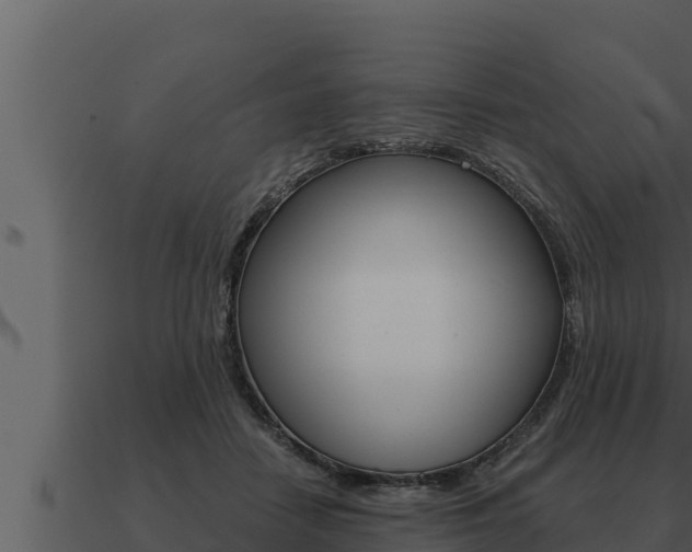 X0000091100458200708061026