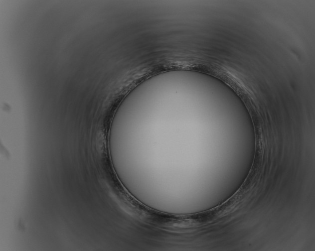 X0000091100459200708061026