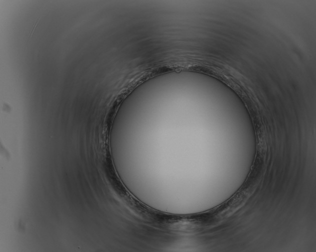 X0000091100460200708061026