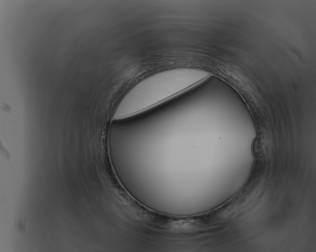 X0000091100461200708061026