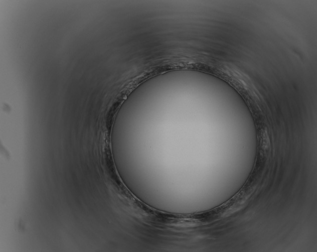 X0000091100463200708061026