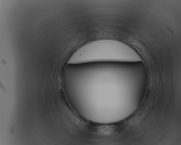 X0000091100465200708061026