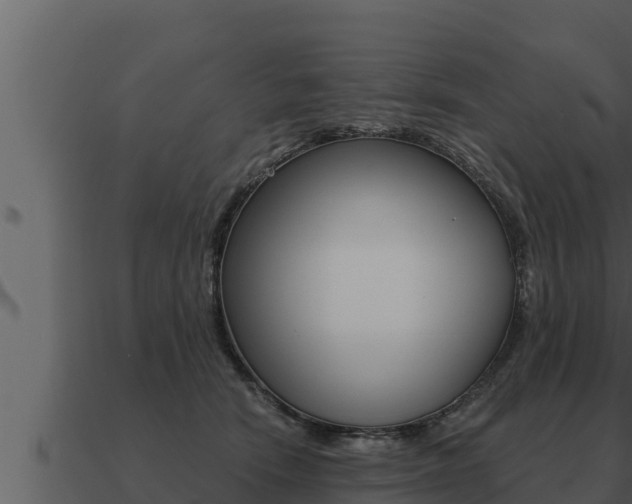 X0000091100466200708061026