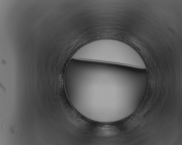 X0000091100467200708061026