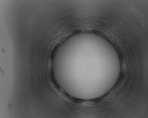 X0000091100468200708061026