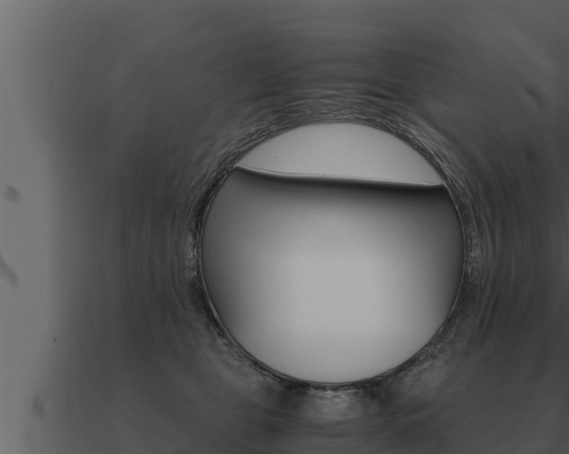X0000091100469200708061026