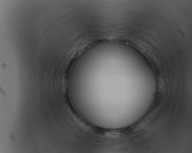X0000091100470200708061026