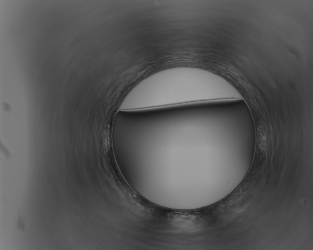 X0000091100471200708061026