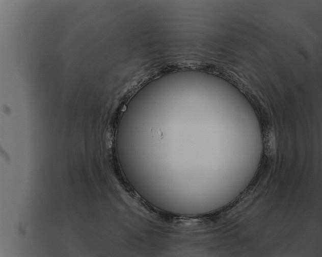 X0000091100472200708061026