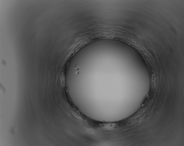 X0000091100474200708061026