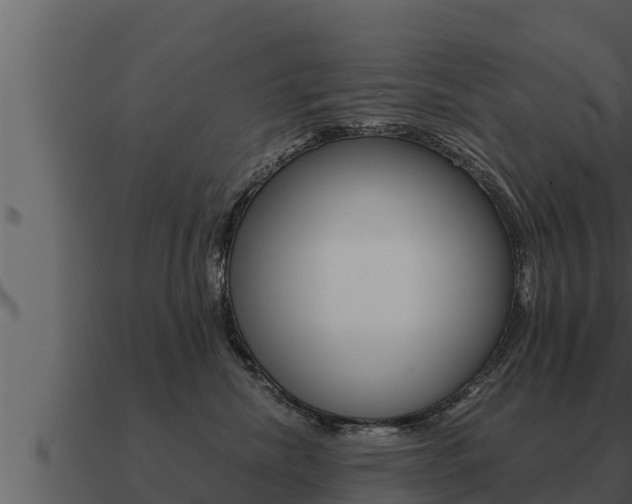 X0000091100476200708061026