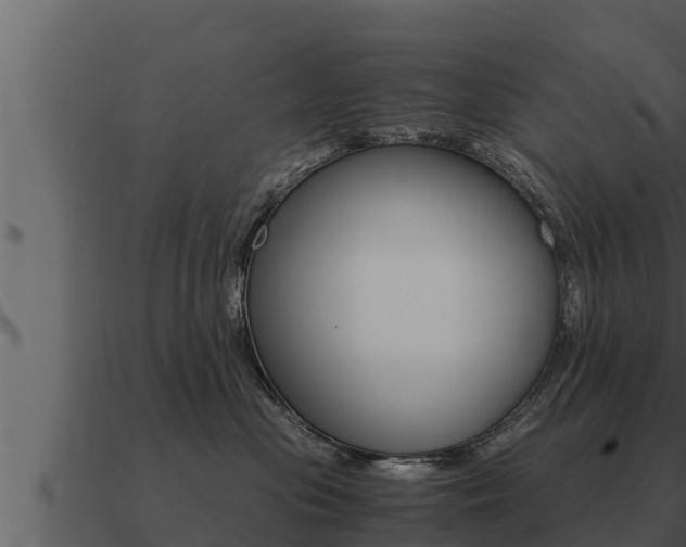 X0000091100477200708061026
