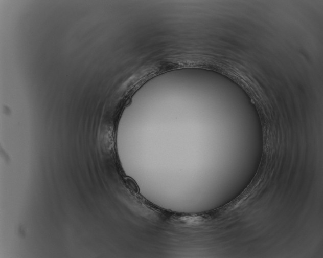X0000091100478200708061026