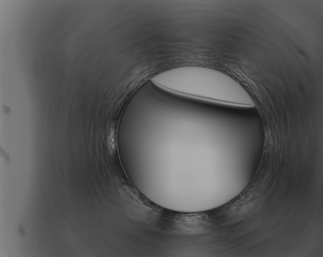 X0000091100479200708061026