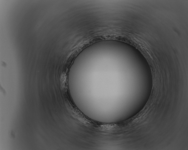 X0000091100480200708061026