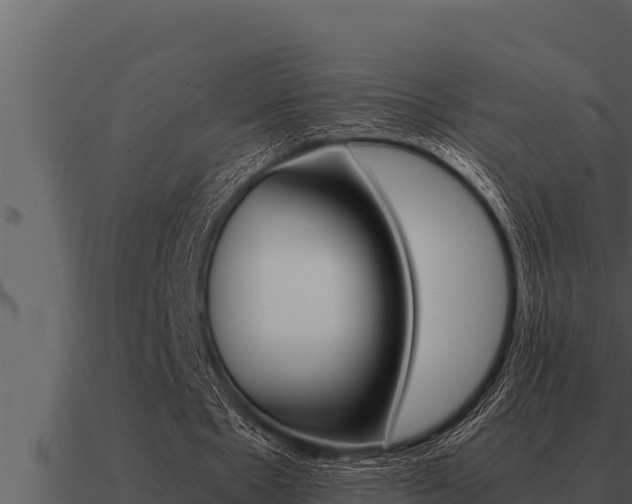 X0000091100481200708061026