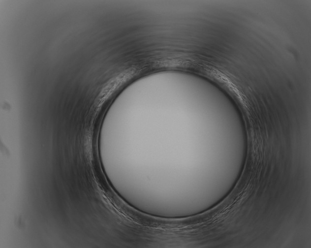 X0000091100482200708061026