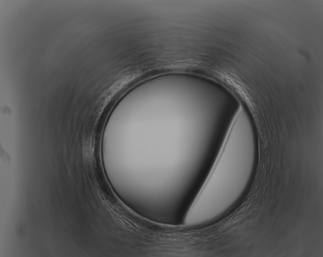 X0000091100483200708061026