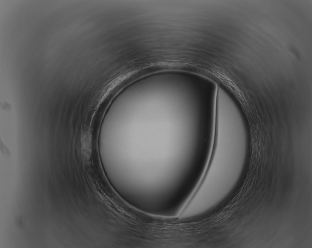 X0000091100484200708061026