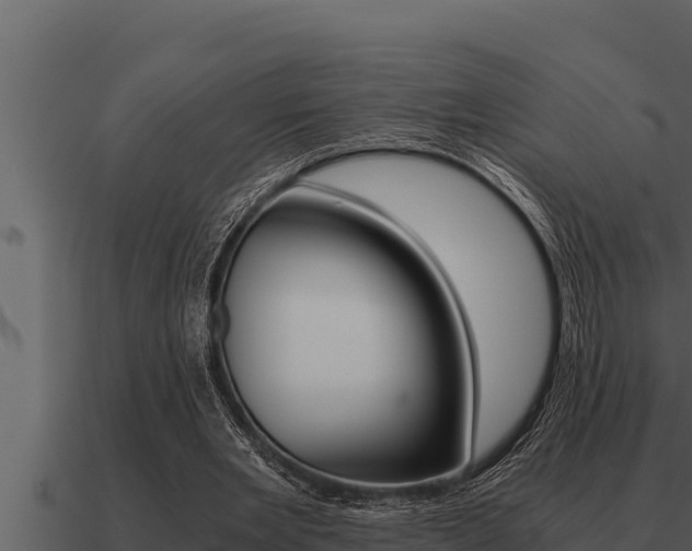 X0000091100485200708061026