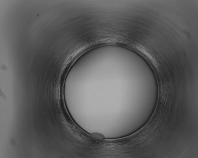 X0000091100486200708061026