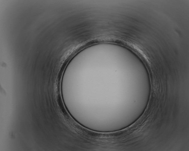X0000091100487200708061026